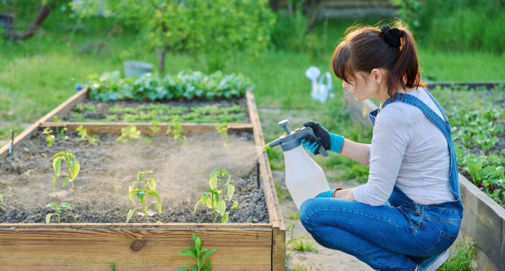 Woman spraying toxic fungicide on garden