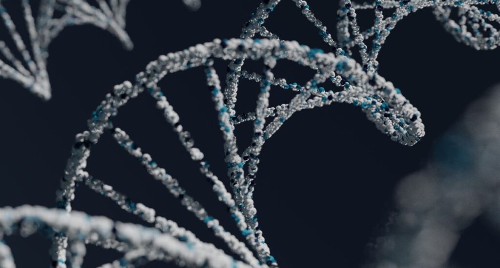 MTHFR gene mutation and methylation in connection to High Performance Health
