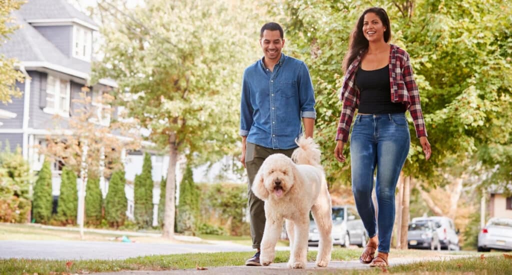 Walking After Meals for Daily Movement